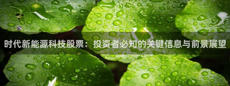 sunbet程序