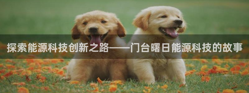 申慱sunbet网站
