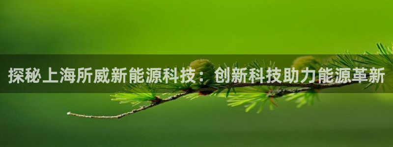 sunbet官网app首页
