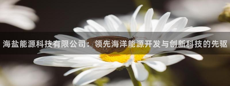 申博官网电脑版下载