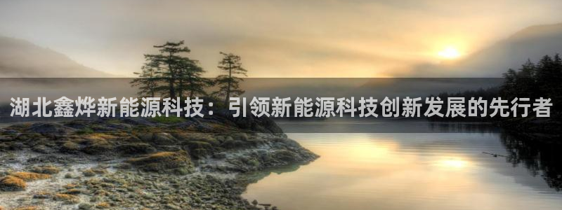 sunbet最新消息