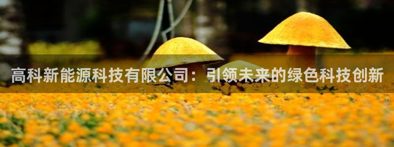 sunbet苹果app