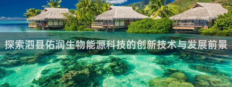 申博手机版官网