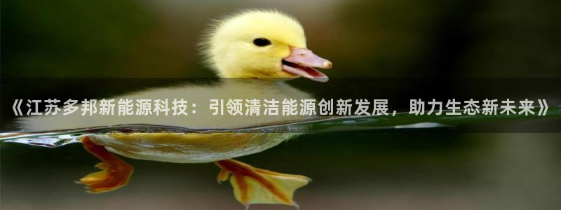 sunbet程序