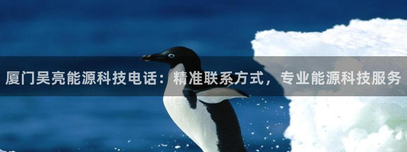 sunbet英语翻译