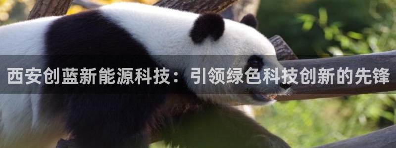 申博app下载