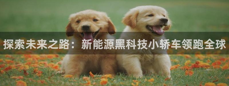 sunbet最新登陆