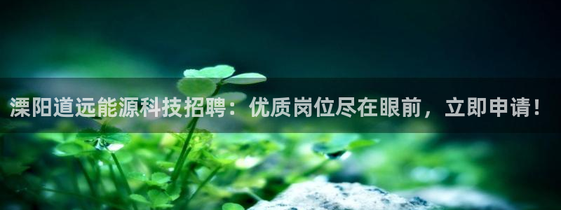 sunbet首页登录入口
