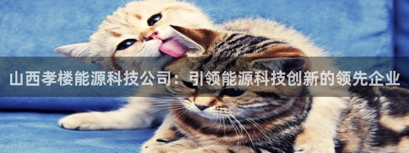 sunbet靠谱吗