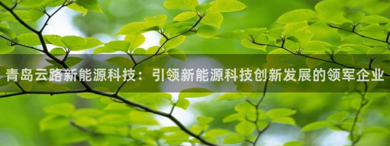 sunbet官网app首页