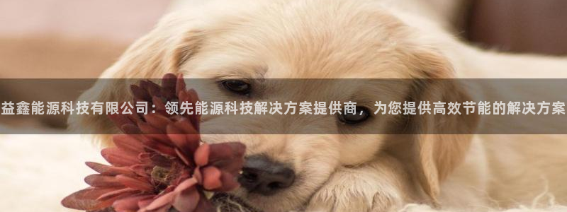 sunbething怎么读