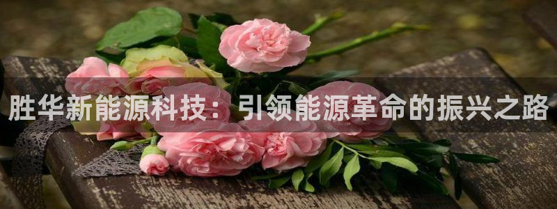 sunbet官网手机版