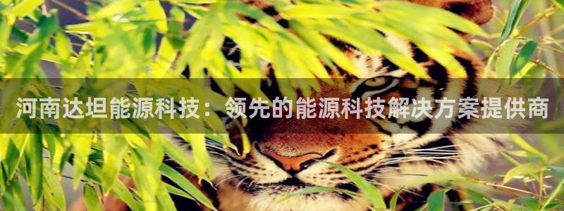 sunbet最新登陆