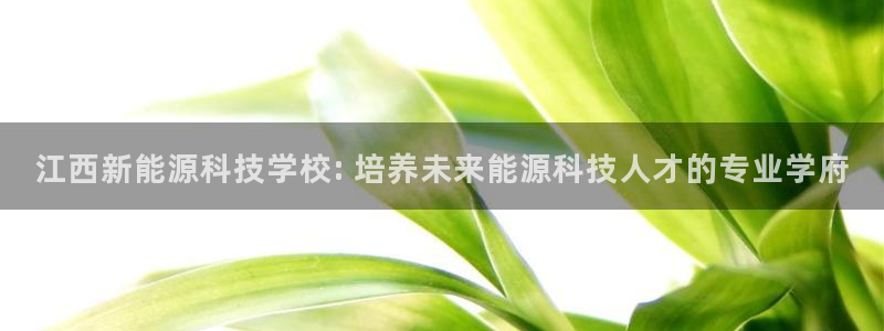 sunbet苹果官网下载