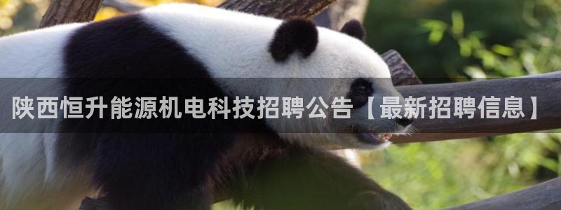 申博官方网站