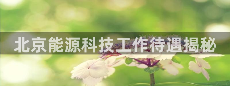 sunbet最新消息