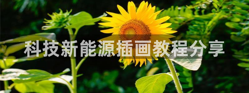 申博手机版app下载