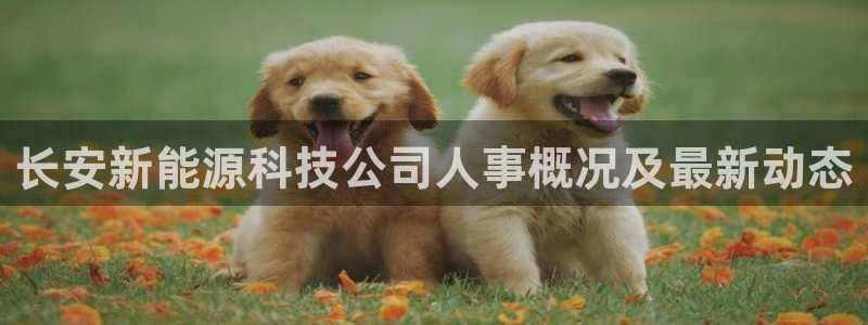 申博官方网址