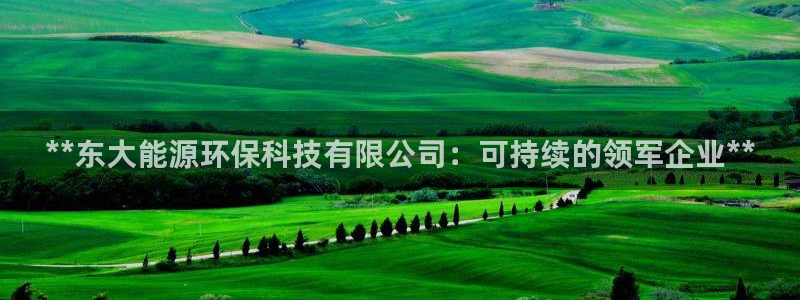 sunbet英语翻译