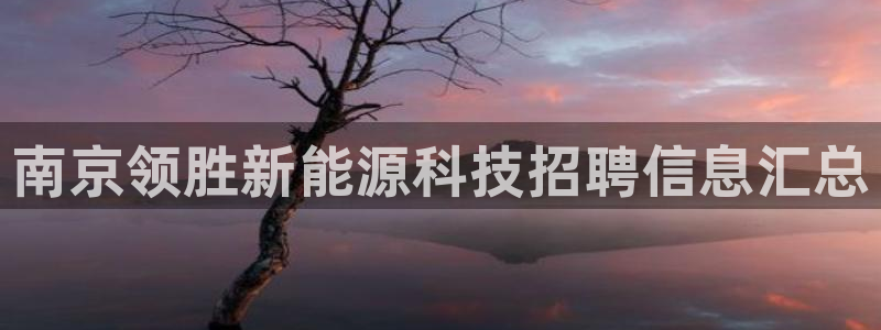 sunbet燃气灶