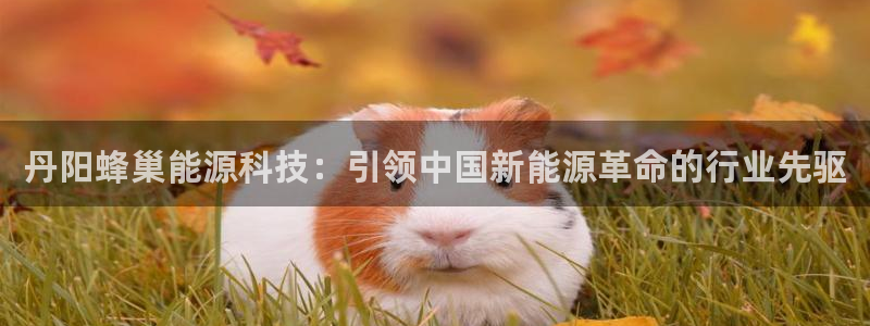 申博手机网址