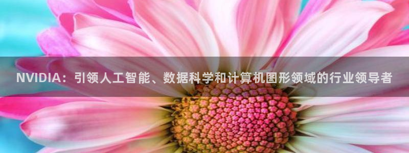 sunbet英语翻译