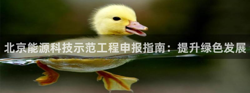sunbet燃气灶