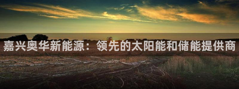 sunbet首页登录入口