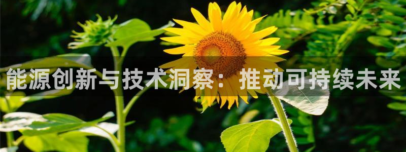 sunbet手机版登录