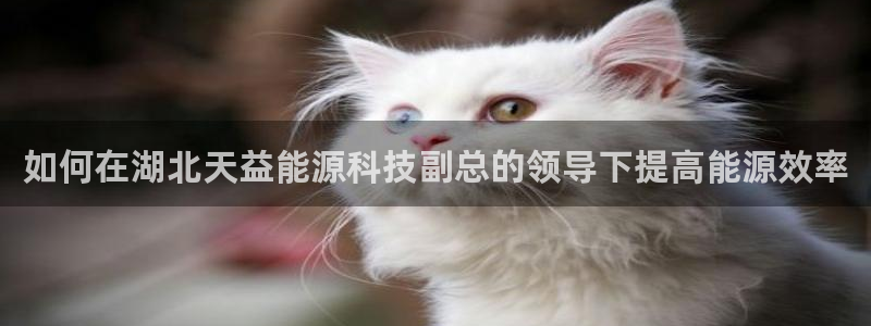 sunbet手机版登录