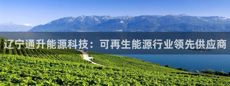 sunbething怎么读