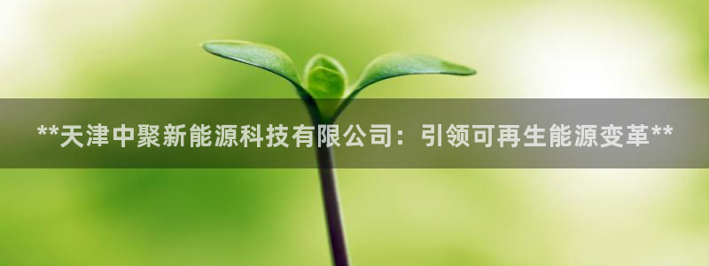 sunbet安卓下载