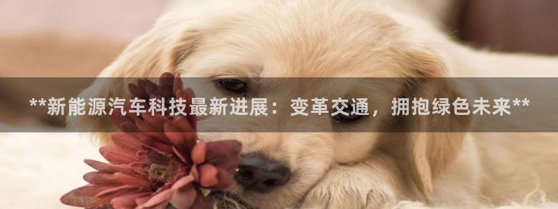 sunbet苹果app