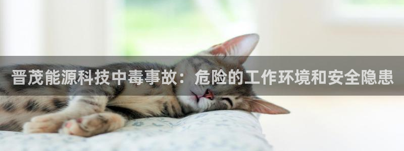 申慱sunbet版app