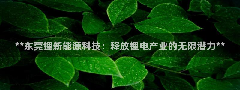 sunbet燃气灶