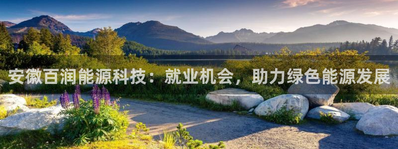 申博官网电脑版下载