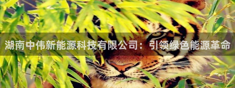 sunbet游戏最新版