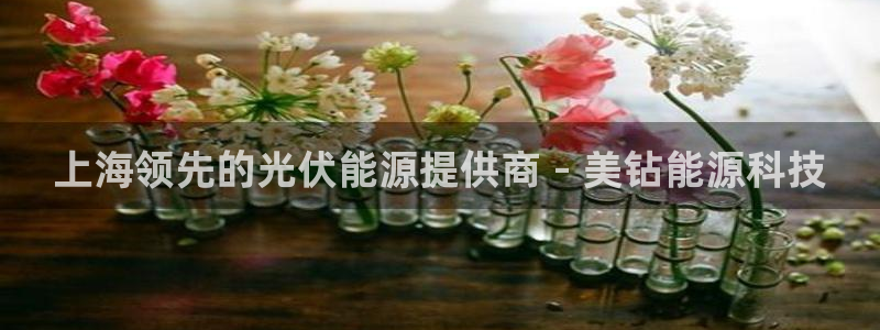 sunbet手机网页版下载