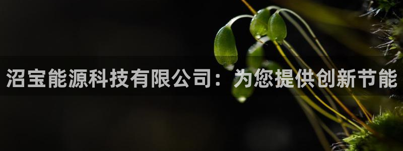 申博手机版官网
