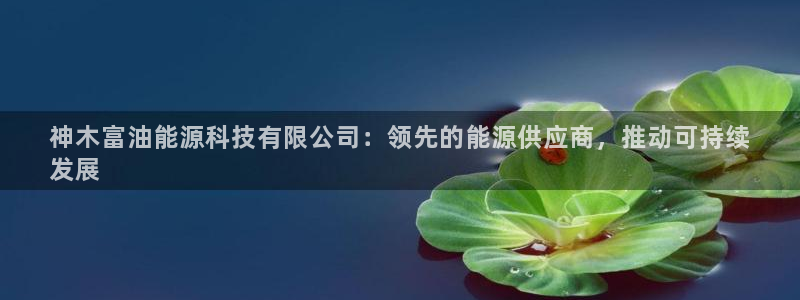 sunbet手机版官网下载