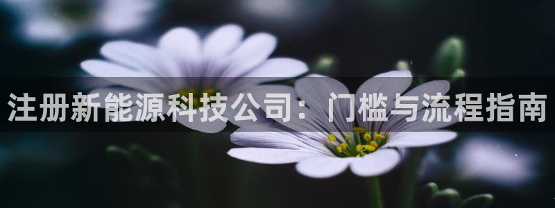 申博官方网站手机版下载
