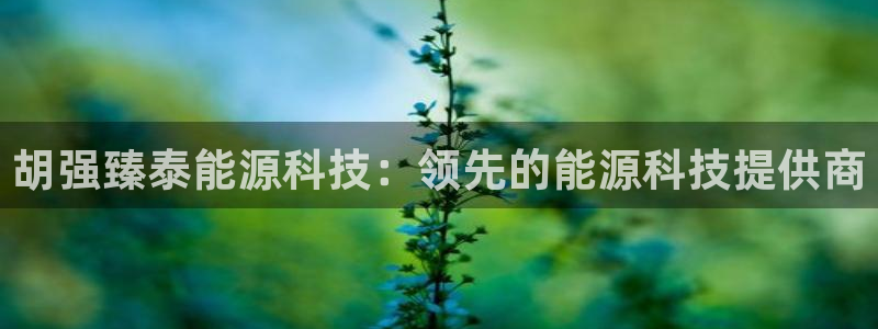 sunbet手机版登录