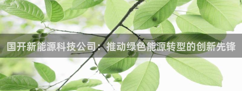 申博app下载
