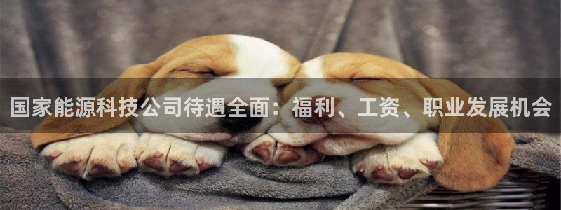 sunbet手机网页版本