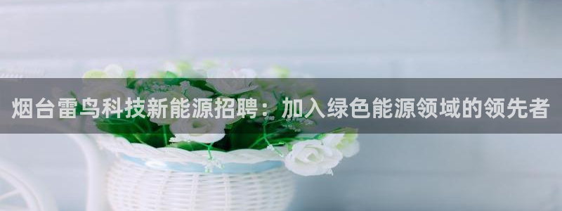 sunbet申搏app下载