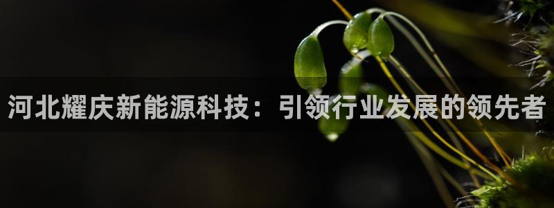 sunbet最新登陆
