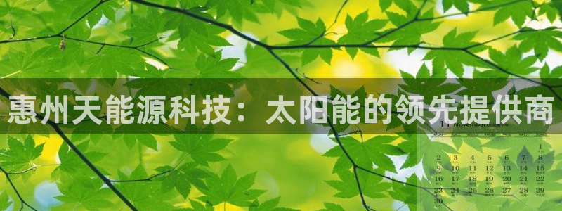 sunbet游戏最新版