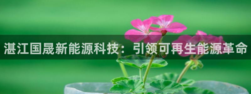 sunbet手机版官网下载