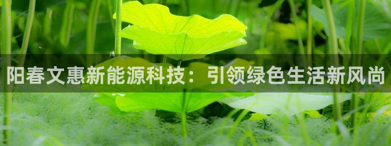 申博手机版app下载