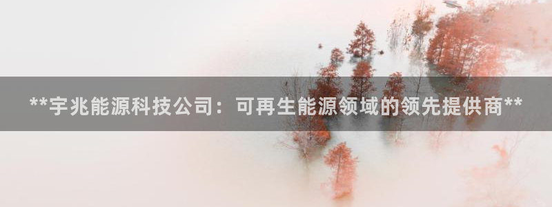 申博视讯